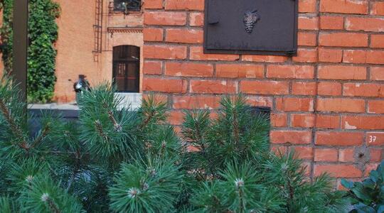 Офисная недвижимость Бизнес-квартал "Даниловская мануфактура"/Кор. "Ряды Солдатенкова-2"