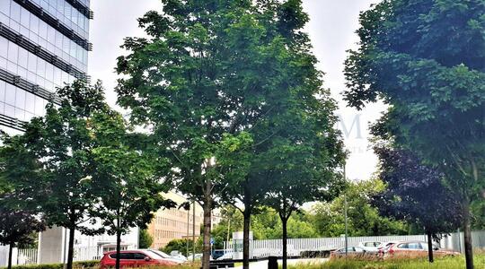 Офисная недвижимость Бизнес-центр "MEBE One Khimki Plaza"