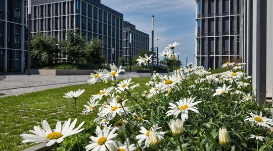 Бизнес-центр "Comcity" Фаза Альфа - Офисная недвижимость