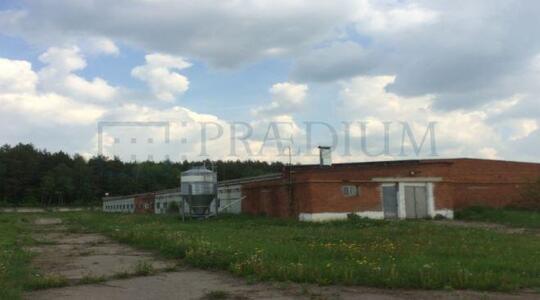 Складской комплекс, Можайское шоссе, 25 км от МКАД - Складские помещения