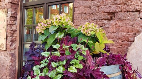 Деловой квартал "Красная Роза"/ Бизнес-центр «Клейн» флигель 8 - Офисная недвижимость