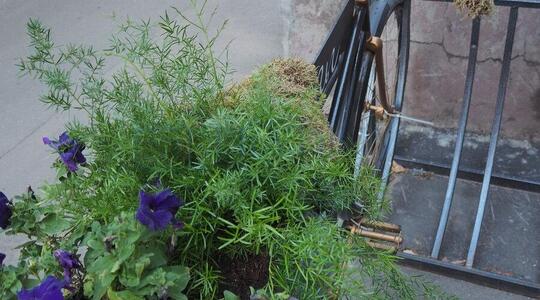 Бизнес-парк "Рассвет" - Офисная недвижимость