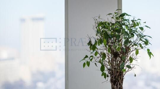 МФК "Лотте" - Офисная недвижимость