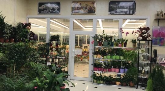 Торговая недвижимость Продажа арендного бизнеса в Северном Бутово